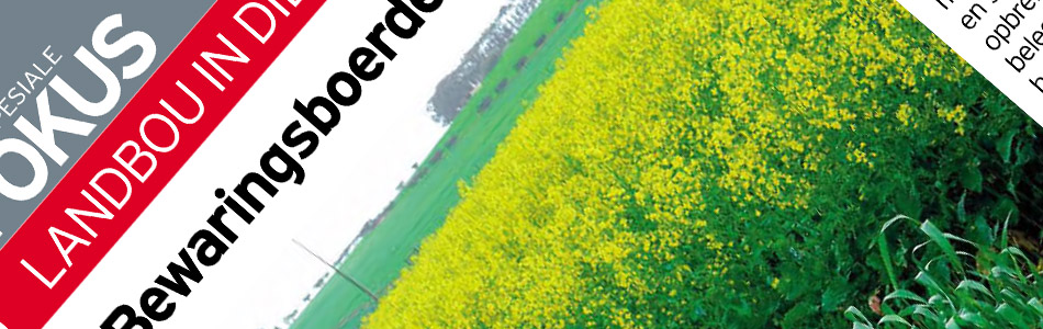 Published canola article