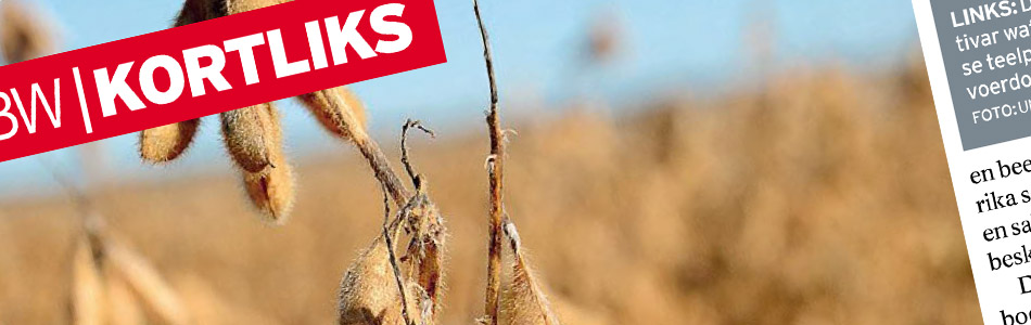 Published soybean article